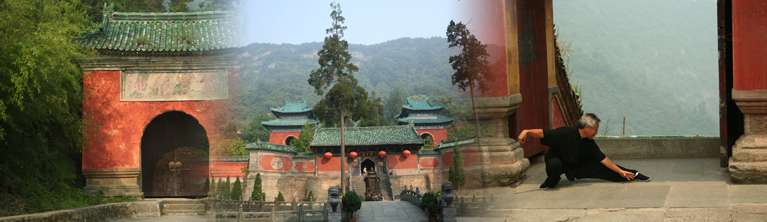 Contact page graphic